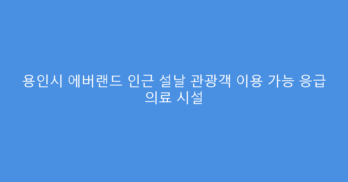 용인시 에버랜드 인근 설날 관광객 이용 가능 응급 의료 시설