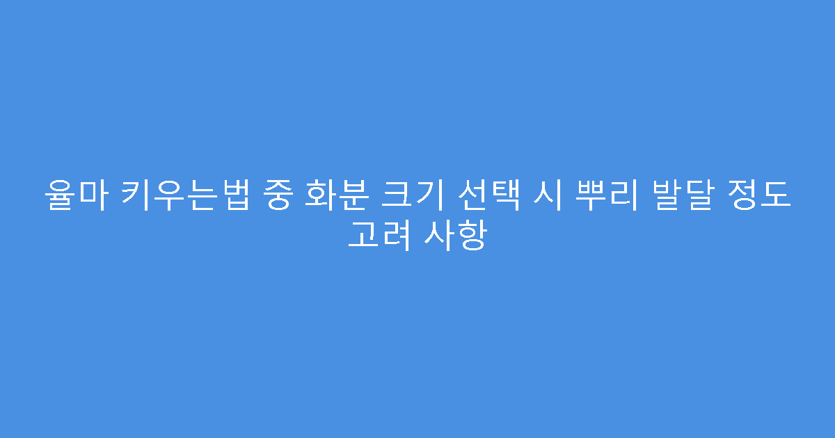 율마 키우는법 중 화분 크기 선택 시 뿌리 발달 정도 고려 사항
