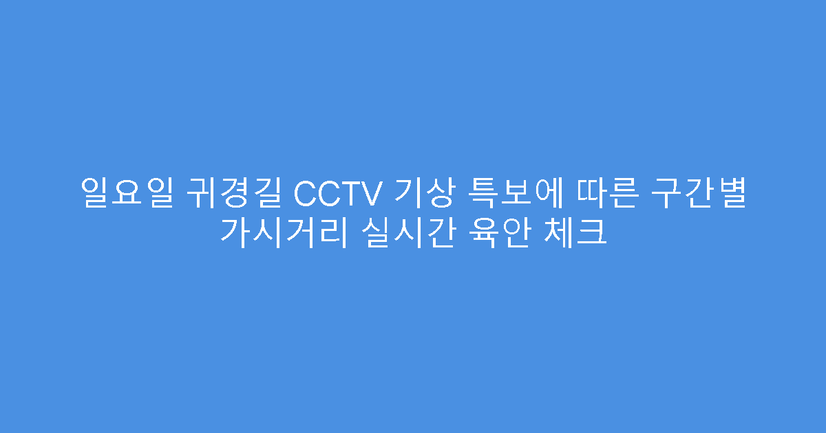 일요일 귀경길 CCTV 기상 특보에 따른 구간별 가시거리 실시간 육안 체크