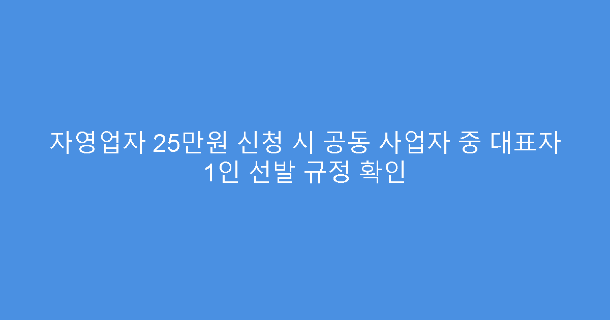 자영업자 25만원 신청 시 공동 사업자 중 대표자 1인 선발 규정 확인
