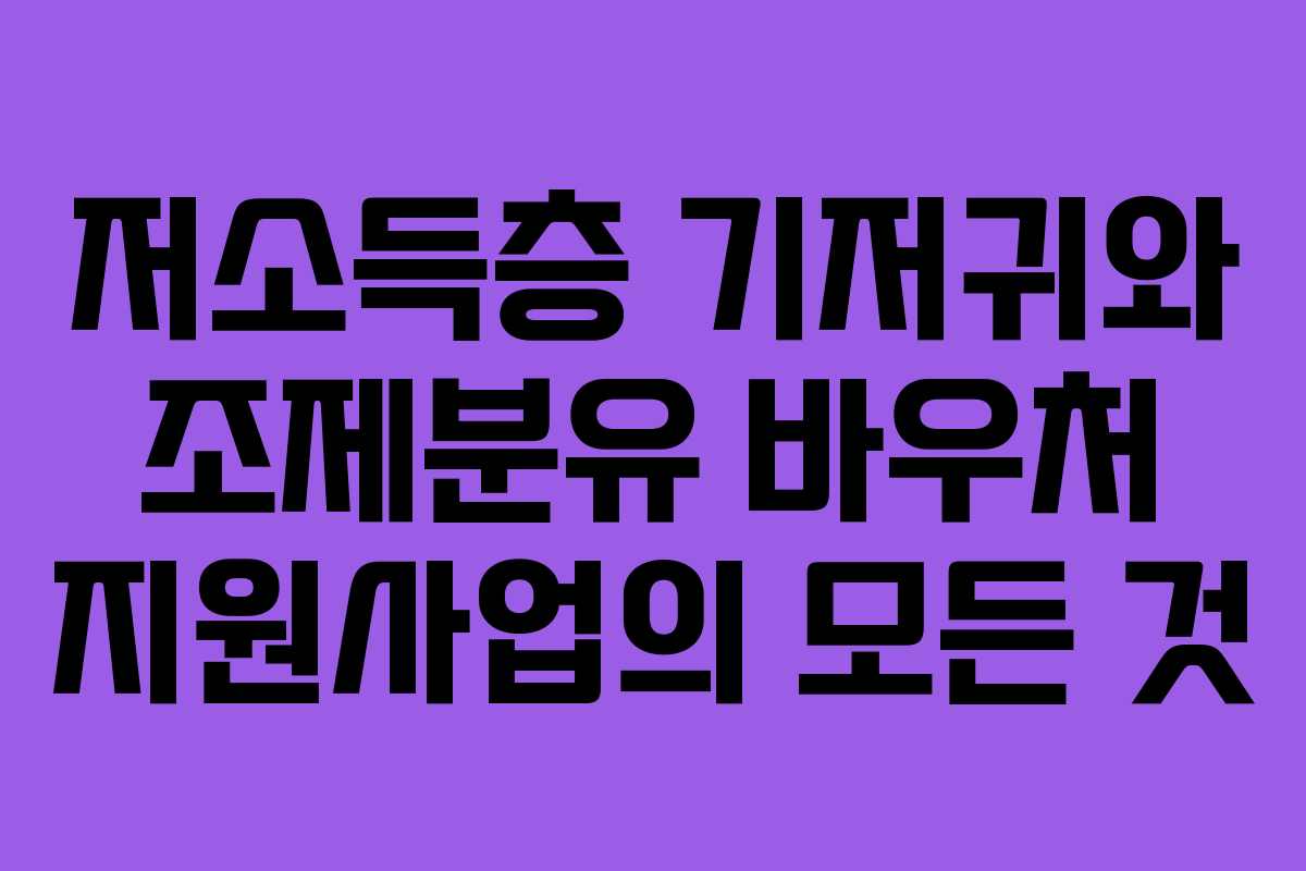 저소득층 기저귀와 조제분유 바우처 지원사업의 모든 것