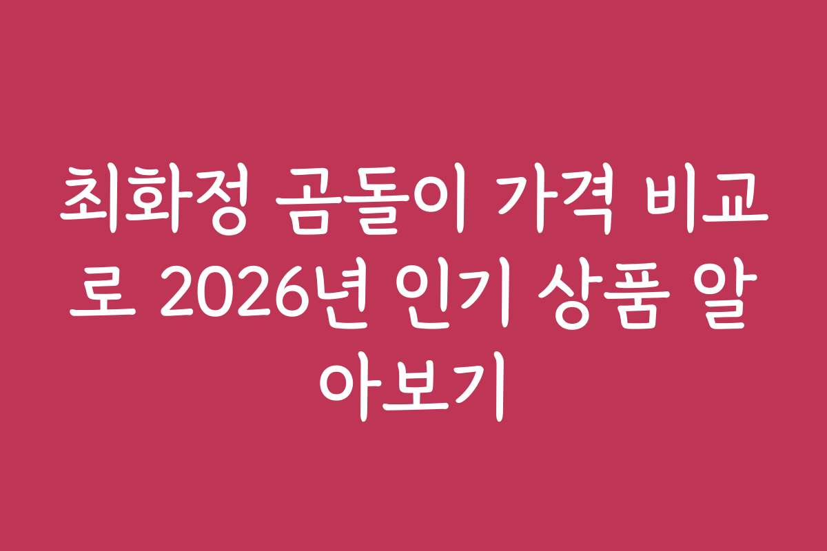 최화정 곰돌이 가격 비교로 2026년 인기 상품 알아보기