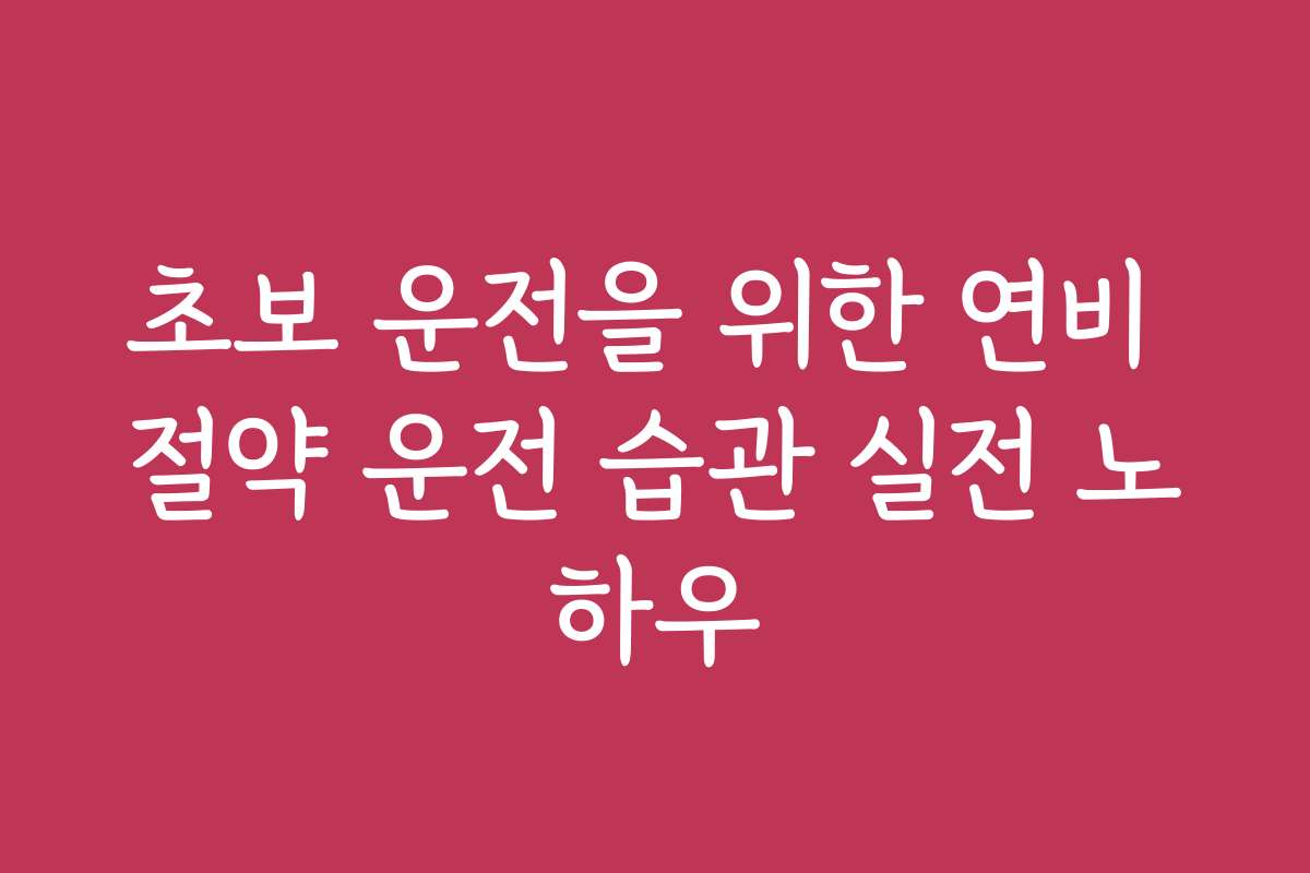 초보 운전을 위한 연비 절약 운전 습관 실전 노하우
