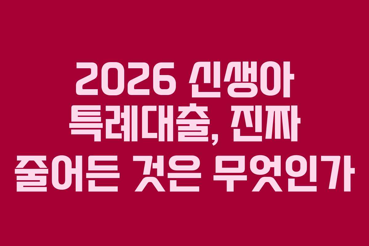 2026 신생아 특례대출, 진짜 줄어든 것은 무엇인가
