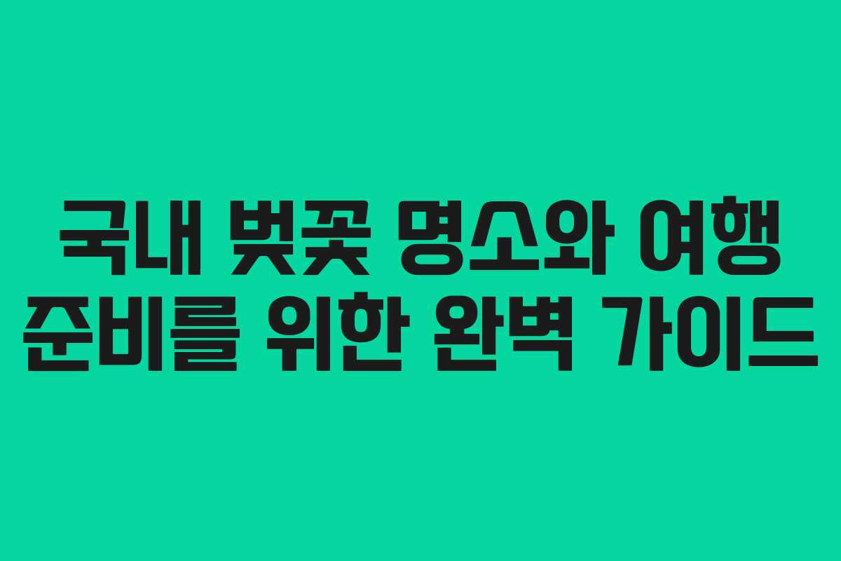 국내 벚꽃 명소와 여행 준비를 위한 완벽 가이드