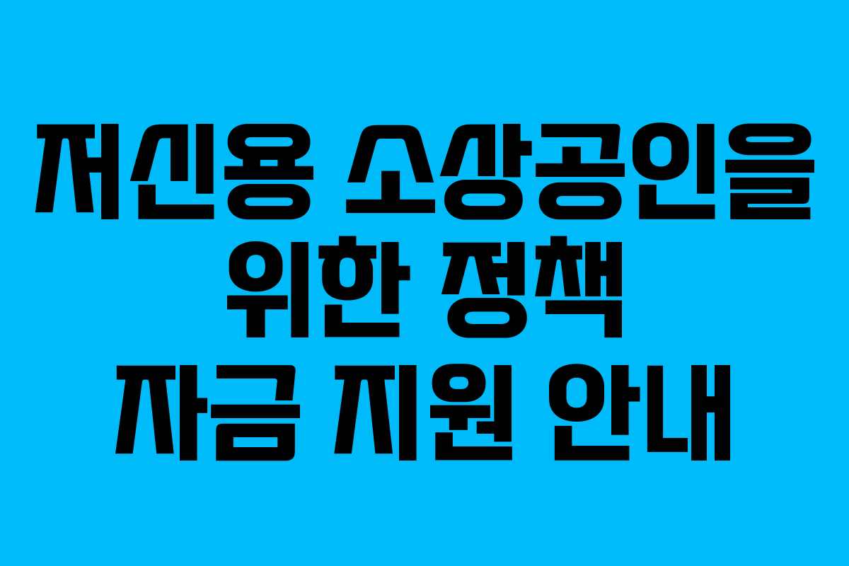 저신용 소상공인을 위한 정책 자금 지원 안내