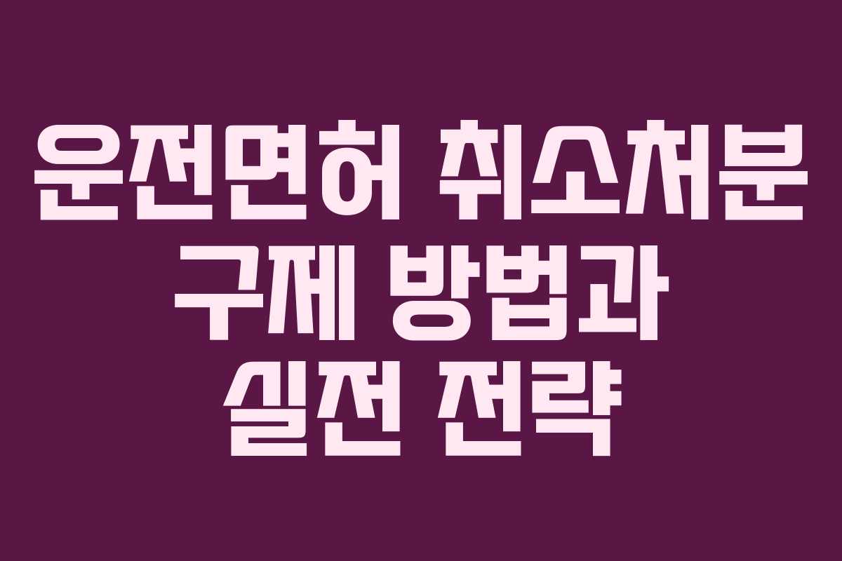 운전면허 취소처분 구제 방법과 실전 전략
