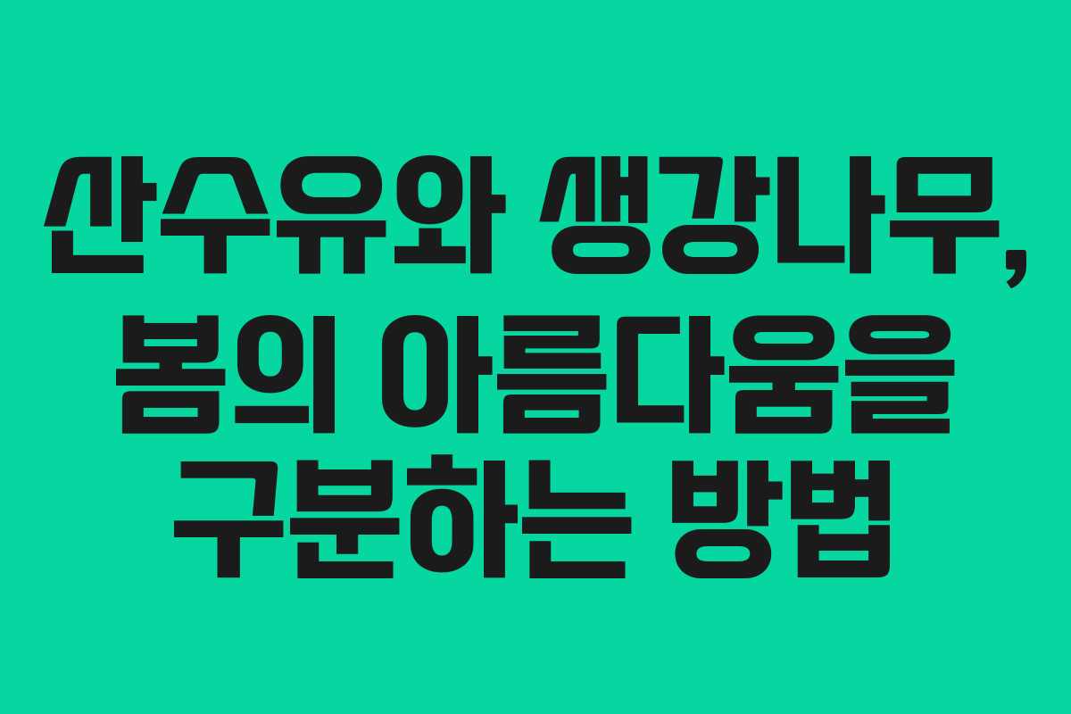 산수유와 생강나무, 봄의 아름다움을 구분하는 방법