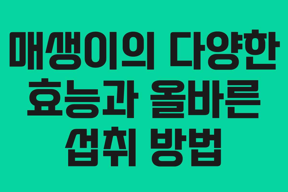 매생이의 다양한 효능과 올바른 섭취 방법