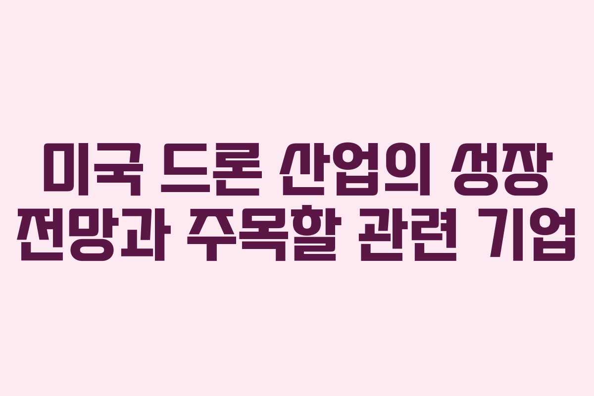 미국 드론 산업의 성장 전망과 주목할 관련 기업