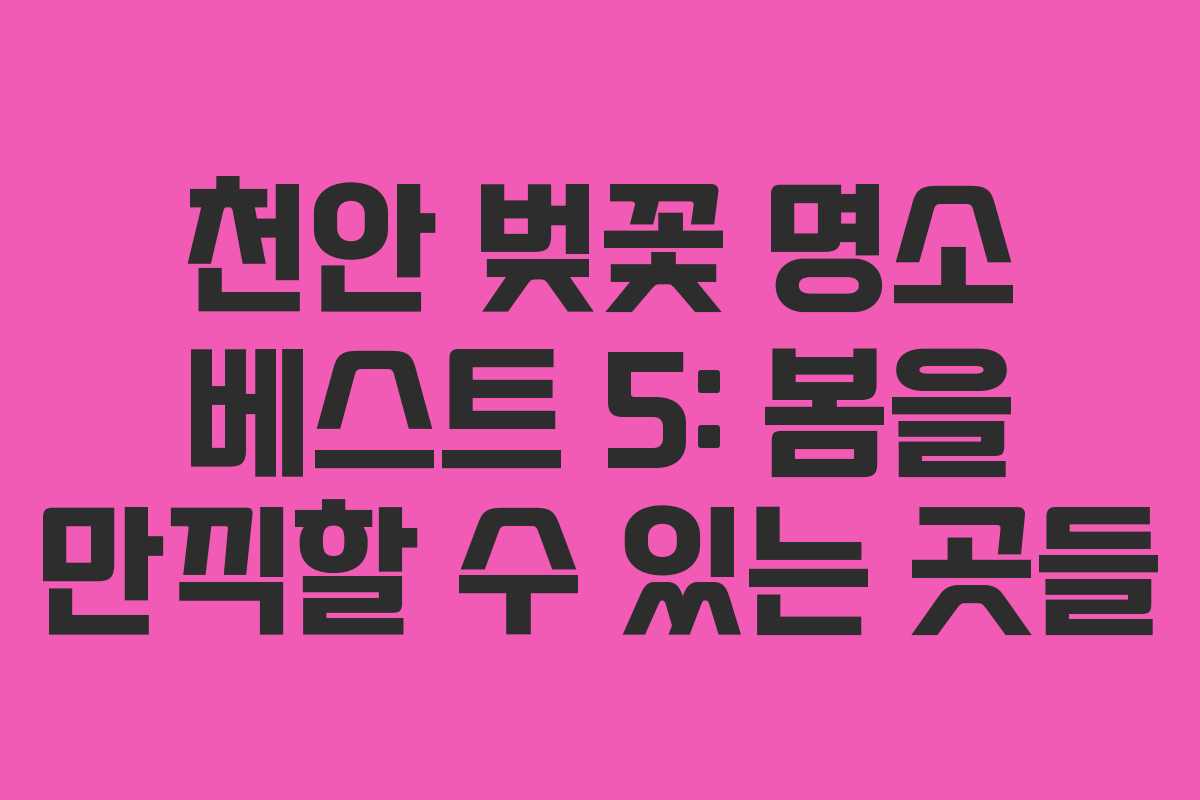 천안 벚꽃 명소 베스트 5: 봄을 만끽할 수 있는 곳들