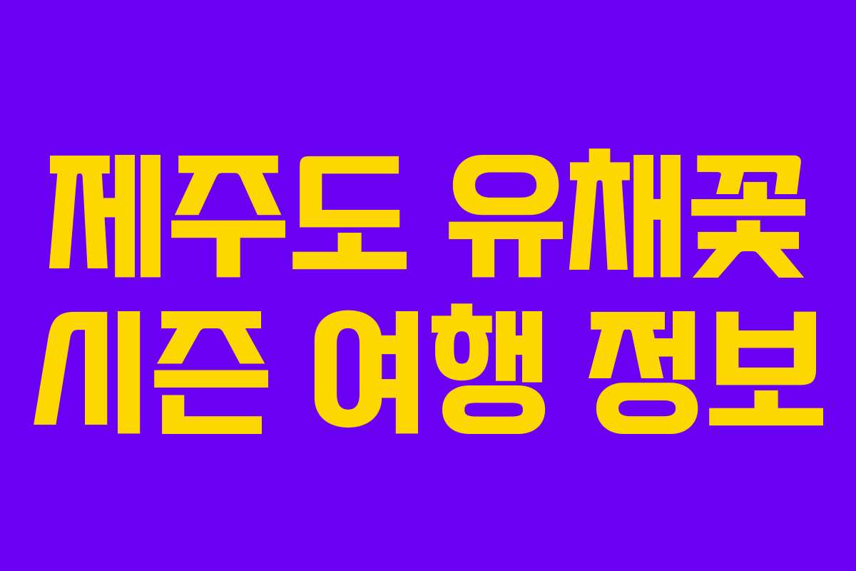 제주도 유채꽃 시즌 여행 정보
