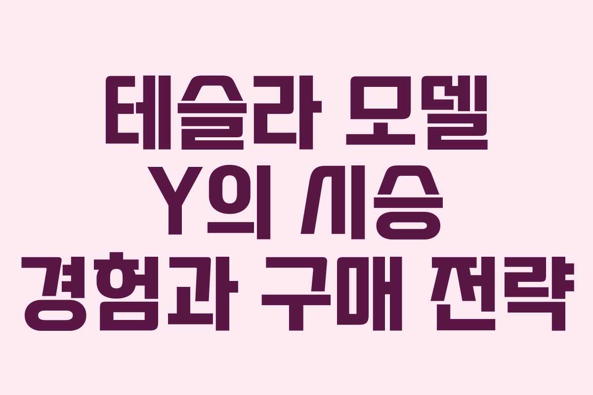 테슬라 모델 Y의 시승 경험과 구매 전략