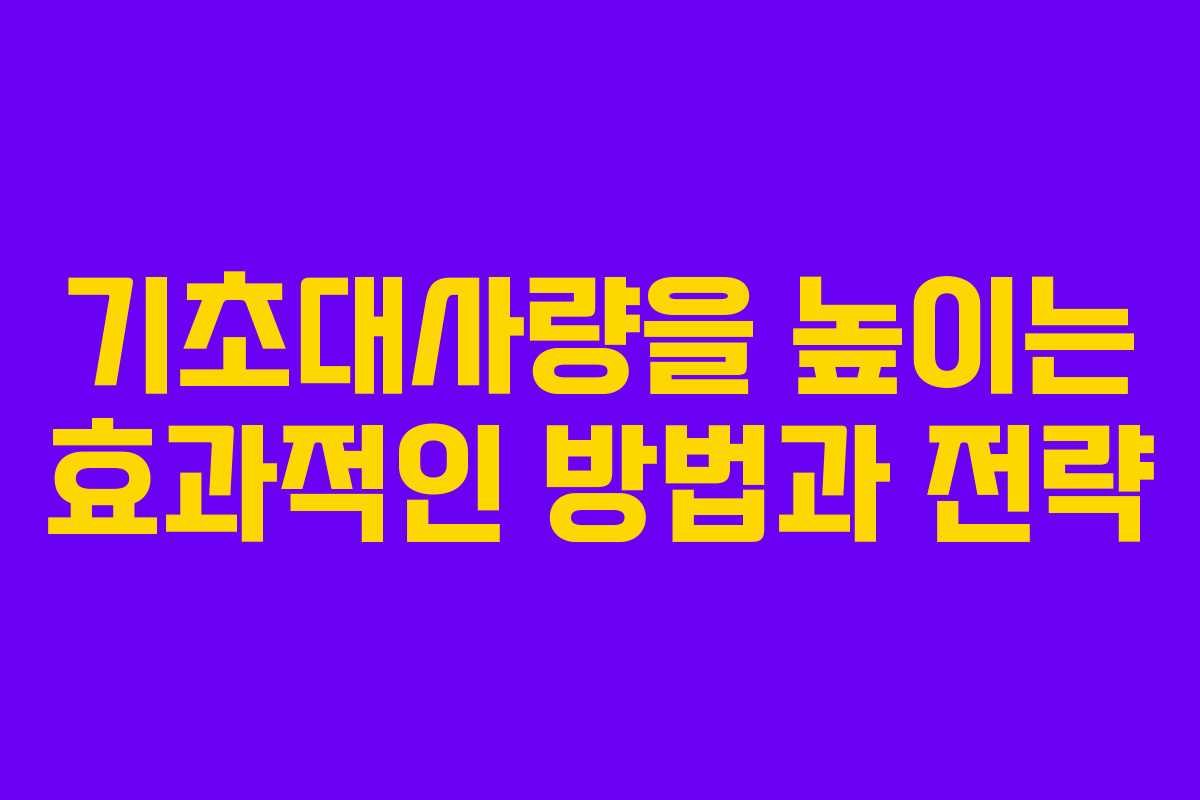 기초대사량을 높이는 효과적인 방법과 전략