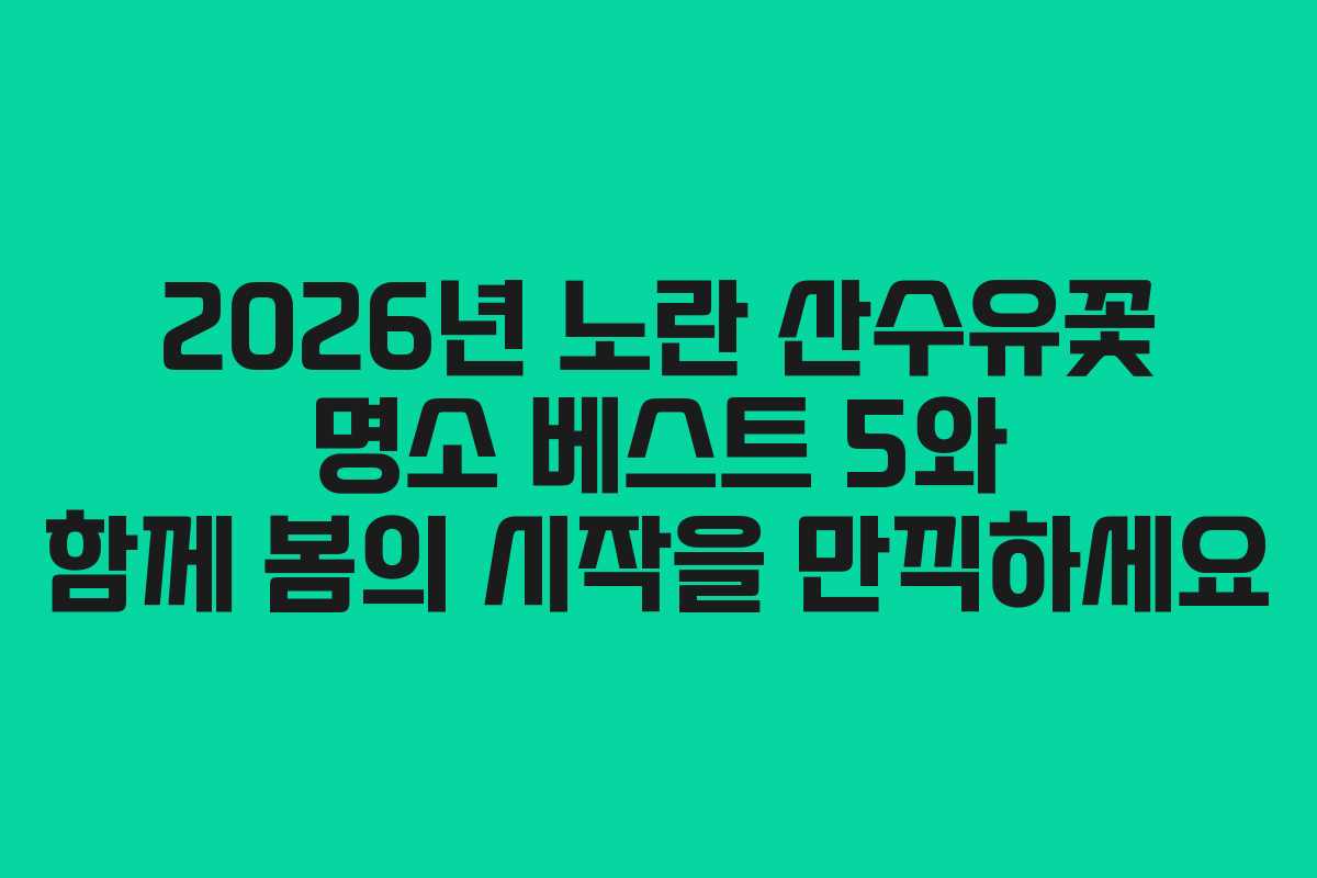 2026년 노란 산수유꽃 명소 베스트 5와 함께 봄의 시작을 만끽하세요