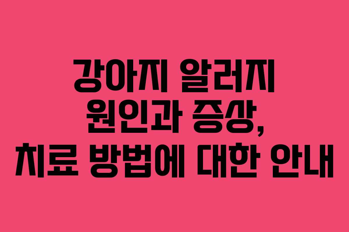 강아지 알러지 원인과 증상, 치료 방법에 대한 안내