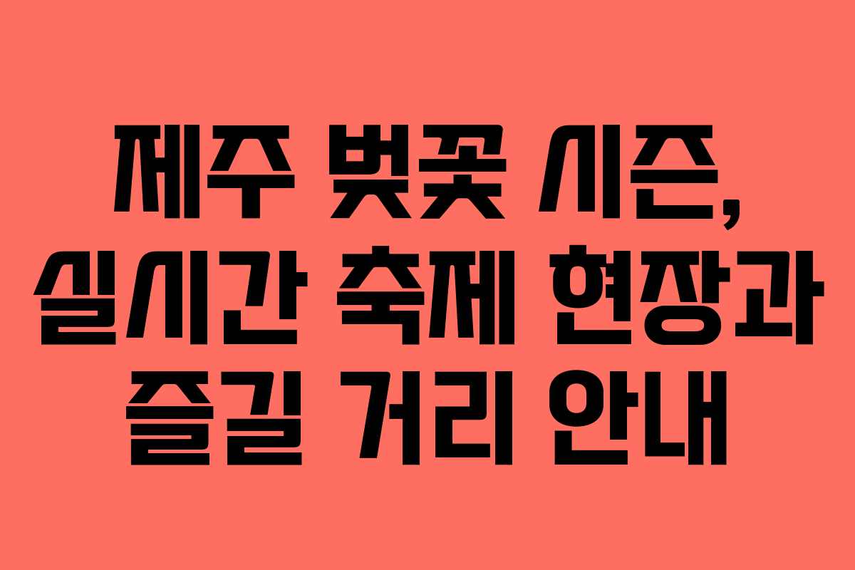 제주 벚꽃 시즌, 실시간 축제 현장과 즐길 거리 안내