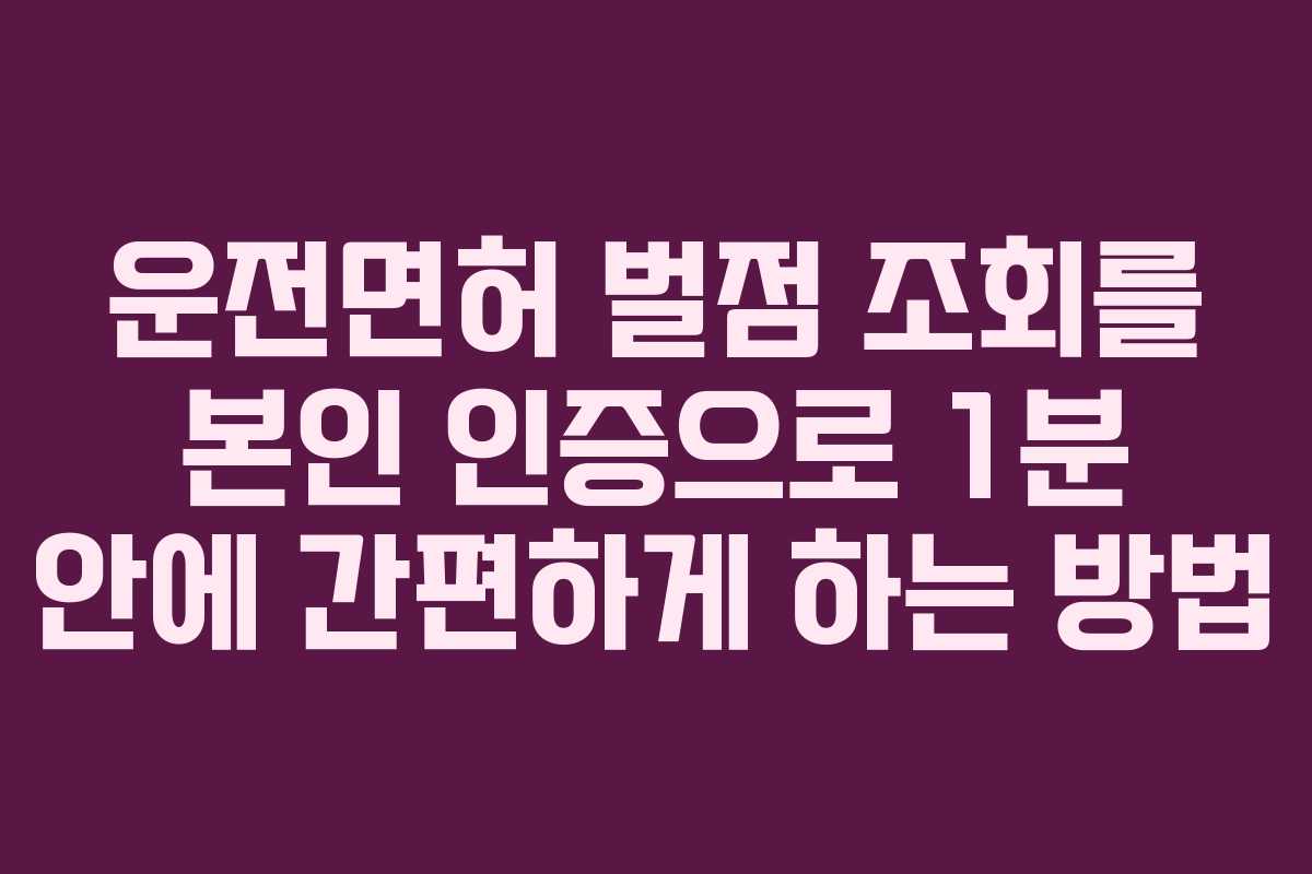 운전면허 벌점 조회를 본인 인증으로 1분 안에 간편하게 하는 방법