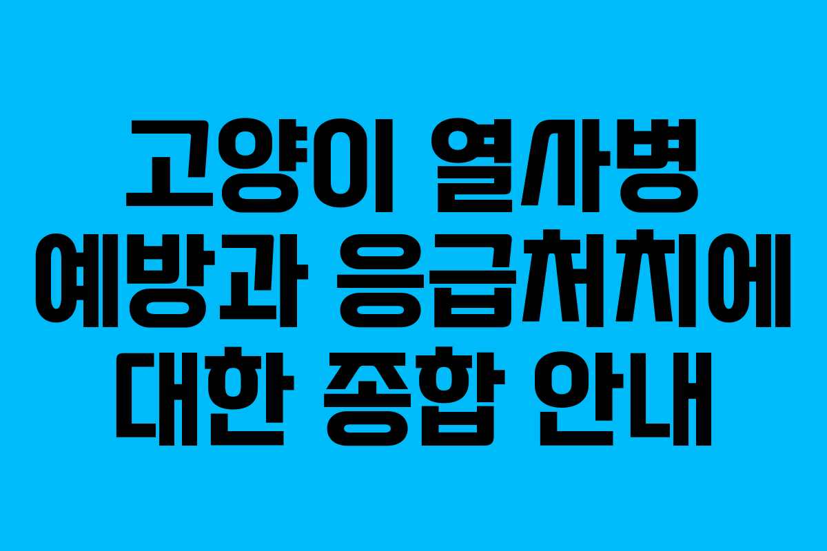 고양이 열사병 예방과 응급처치에 대한 종합 안내