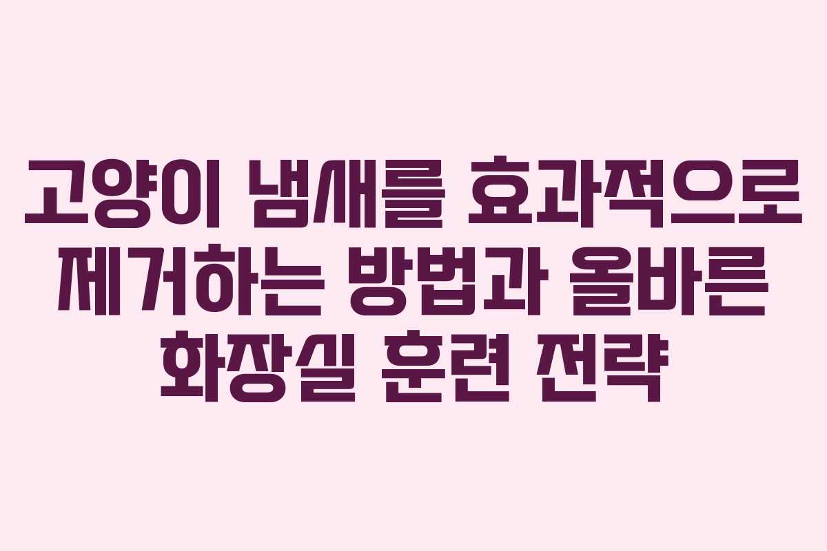 고양이 냄새를 효과적으로 제거하는 방법과 올바른 화장실 훈련 전략