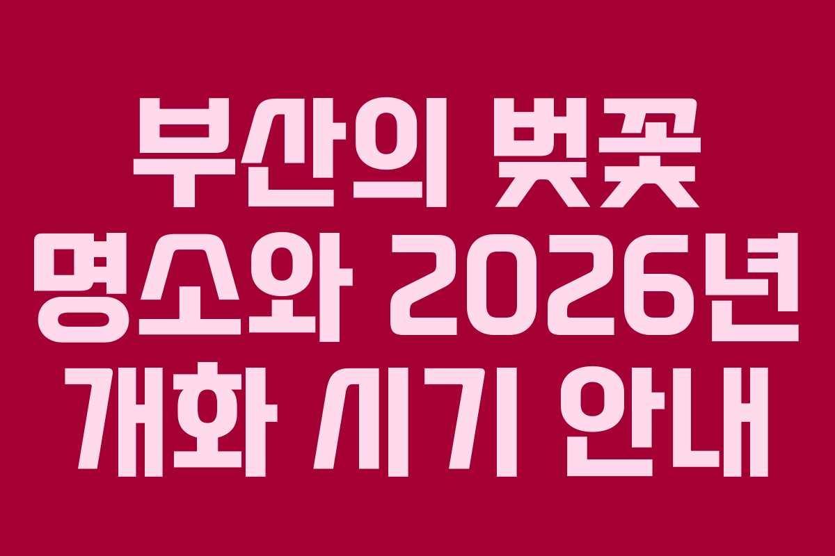부산의 벚꽃 명소와 2026년 개화 시기 안내