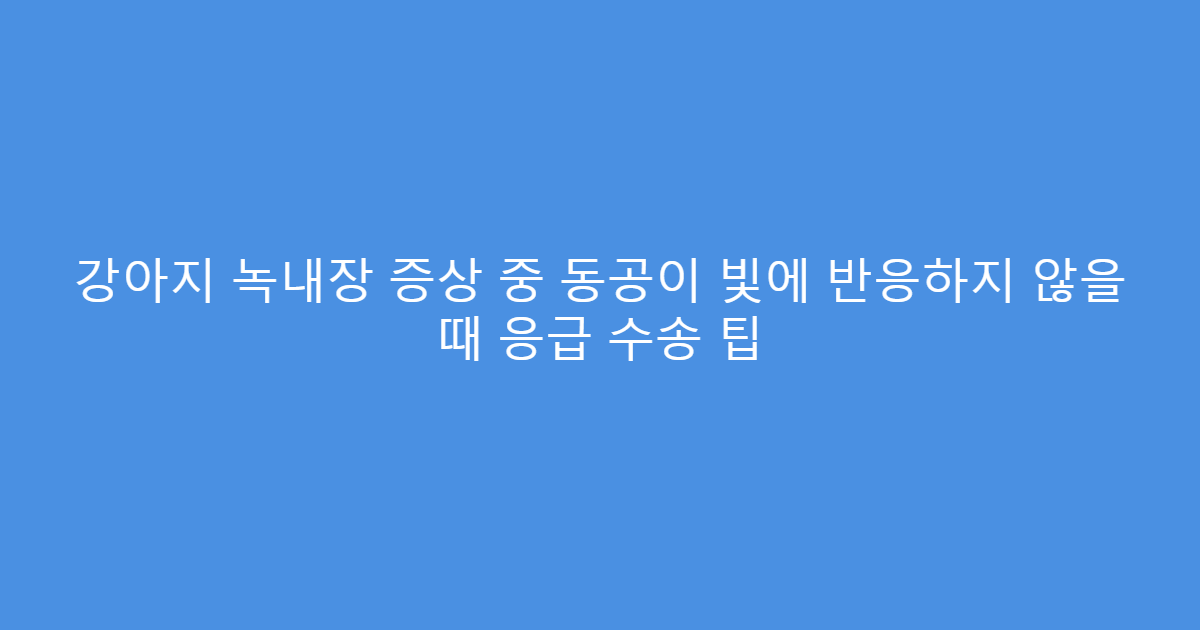 강아지 녹내장 증상 중 동공이 빛에 반응하지 않을 때 응급 수송 팁