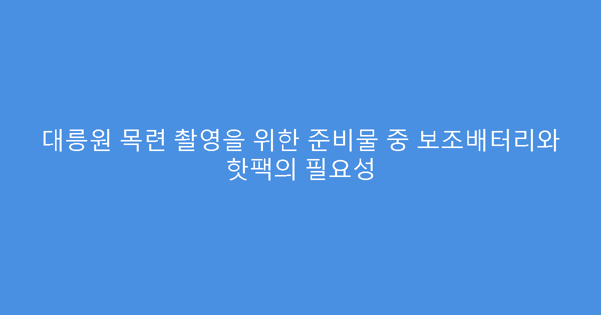 대릉원 목련 촬영을 위한 준비물 중 보조배터리와 핫팩의 필요성