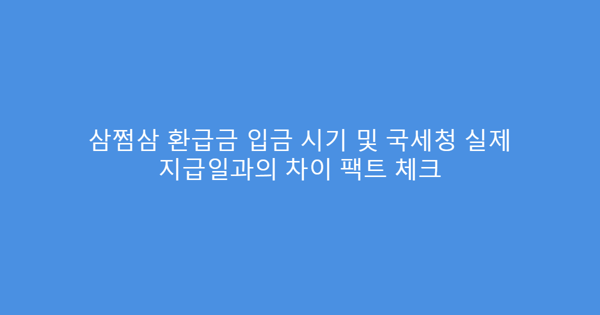삼쩜삼 환급금 입금 시기 및 국세청 실제 지급일과의 차이 팩트 체크