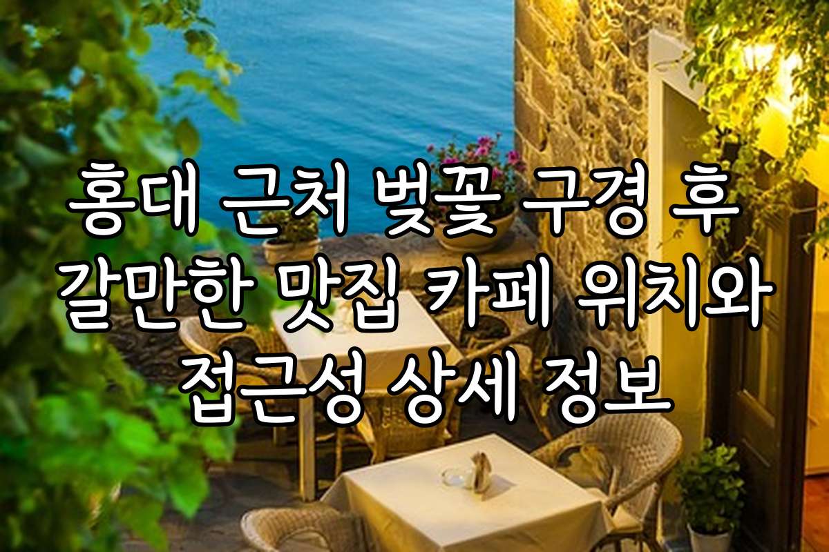 홍대 근처 벚꽃 구경 후 갈만한 맛집 카페 위치와 접근성 상세 정보
