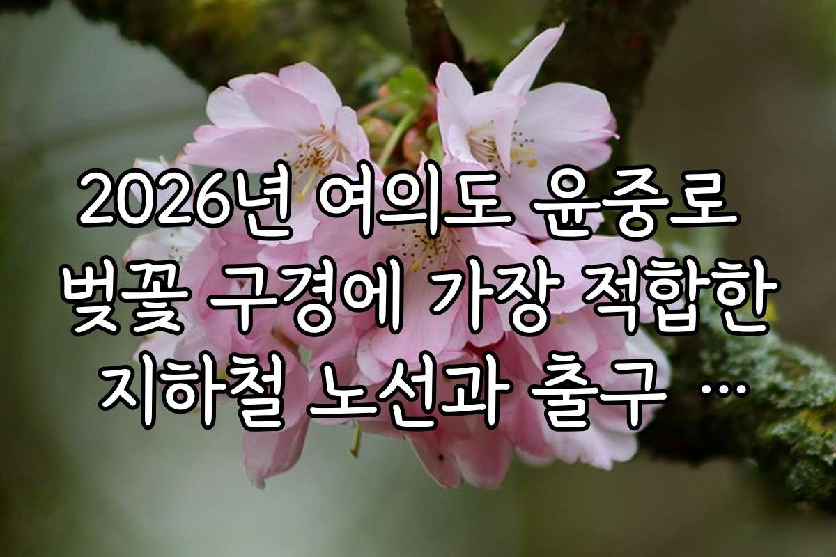 2026년 여의도 윤중로 벚꽃 구경에 가장 적합한 지하철 노선과 출구 추천 방법