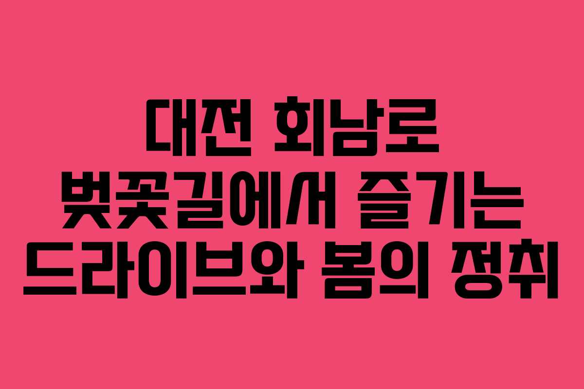 대전-회남로-벚꽃길에서-즐기는-드라이브와-봄의-정취