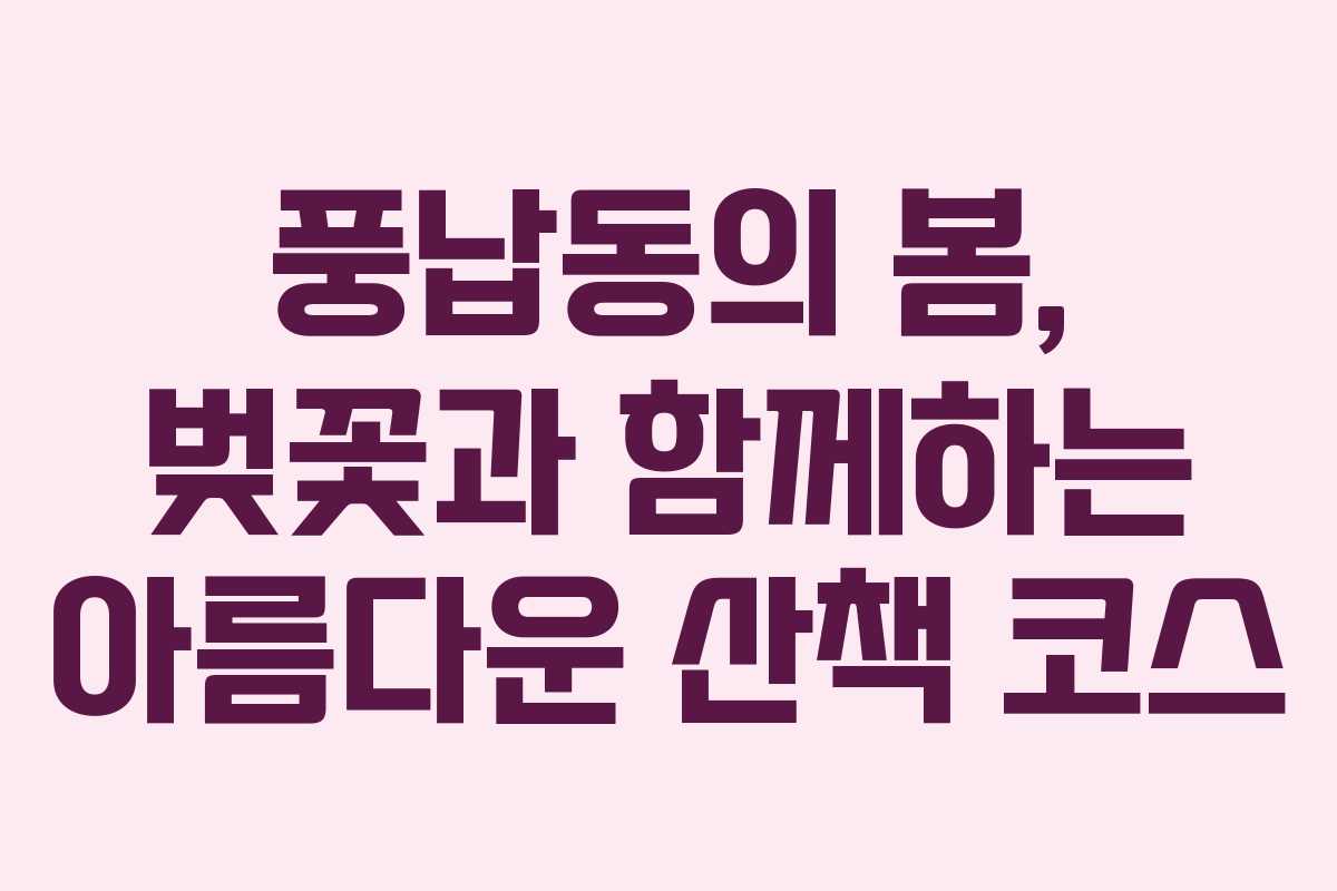 풍납동의 봄, 벚꽃과 함께하는 아름다운 산책 코스