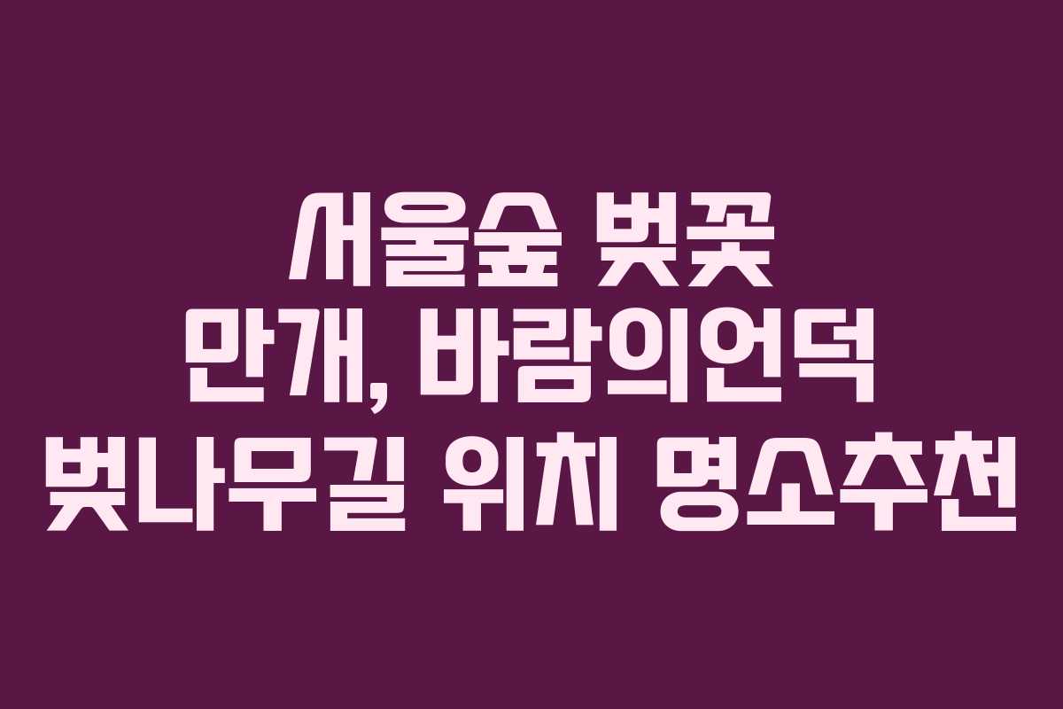 서울숲 벚꽃 만개, 바람의언덕 벚나무길 위치 명소추천