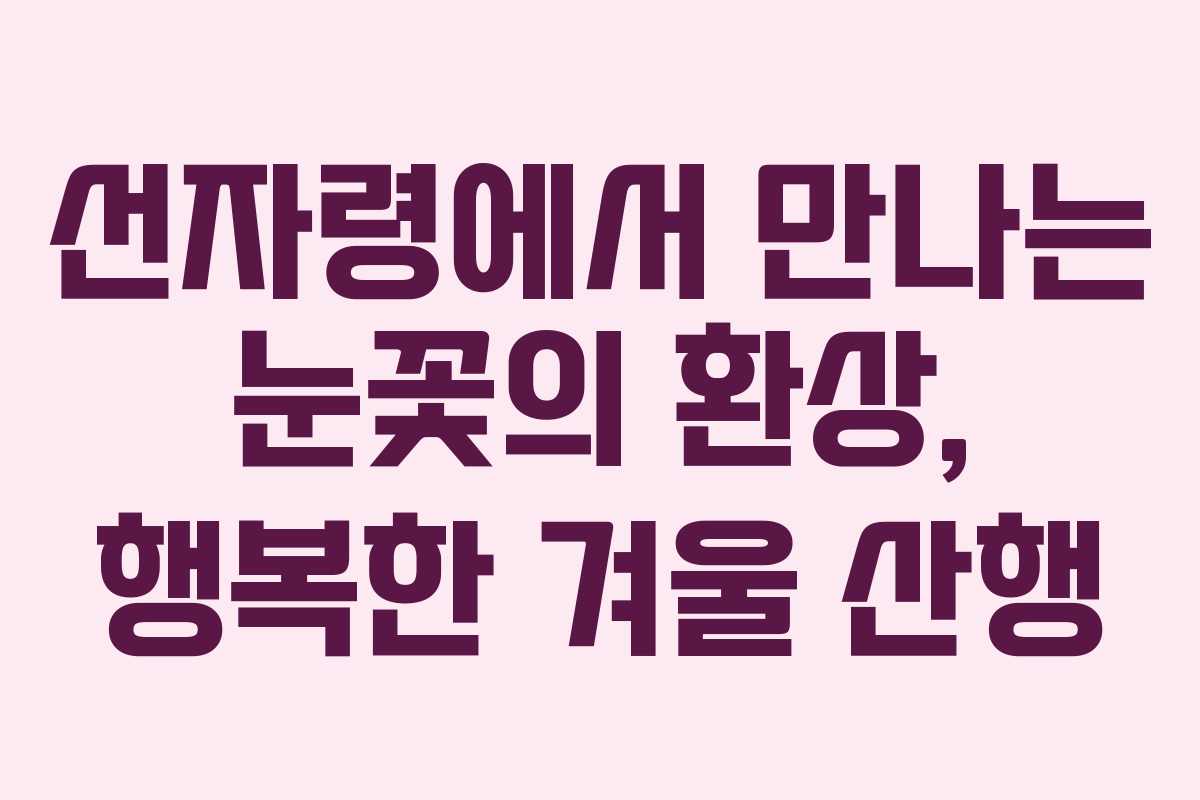 선자령에서-만나는-눈꽃의-환상,-행복한-겨울-산행
