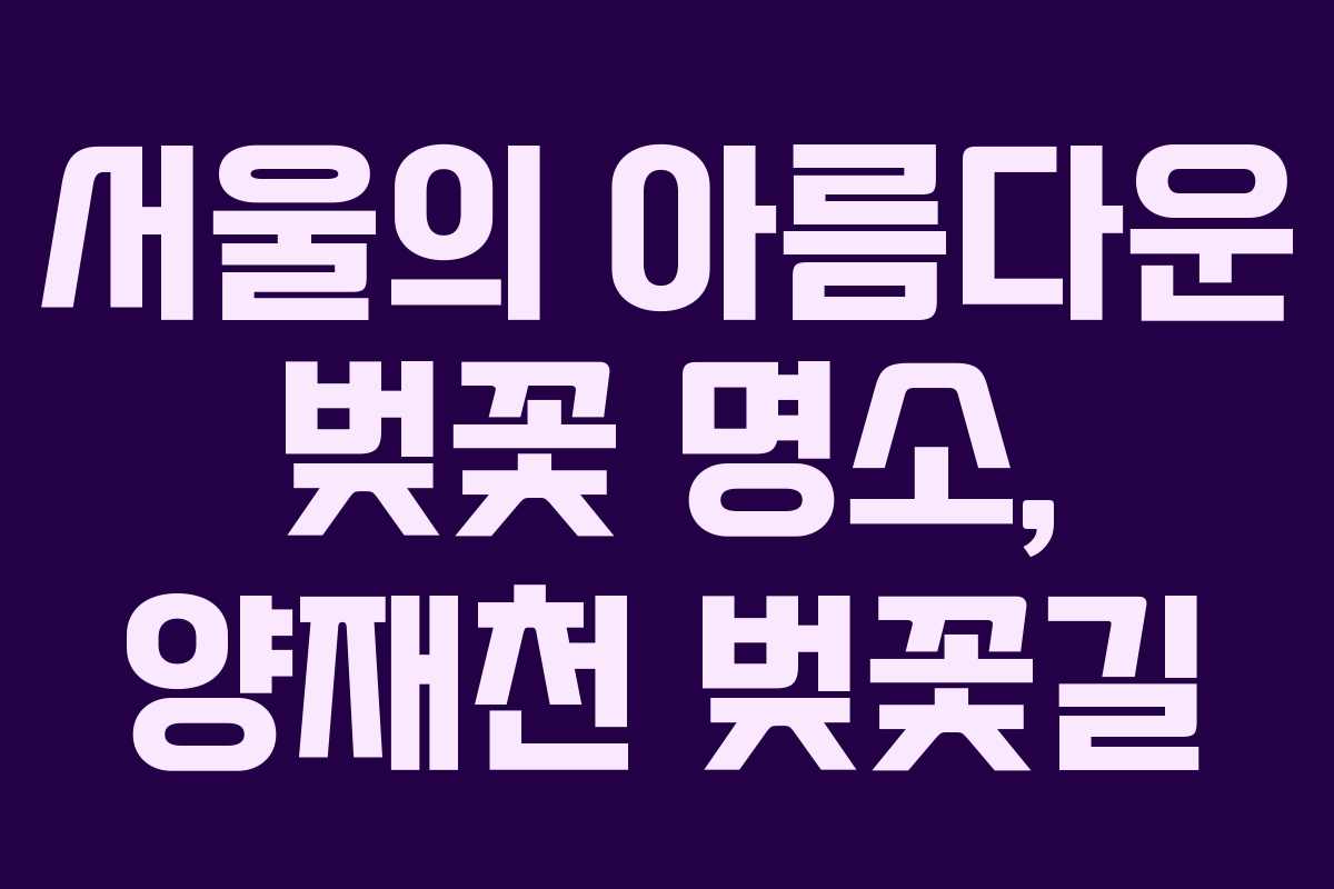 서울의-아름다운-벚꽃-명소,-양재천-벚꽃길