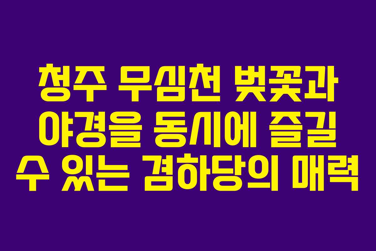 청주-무심천-벚꽃과-야경을-동시에-즐길-수-있는-겸하당의-매력