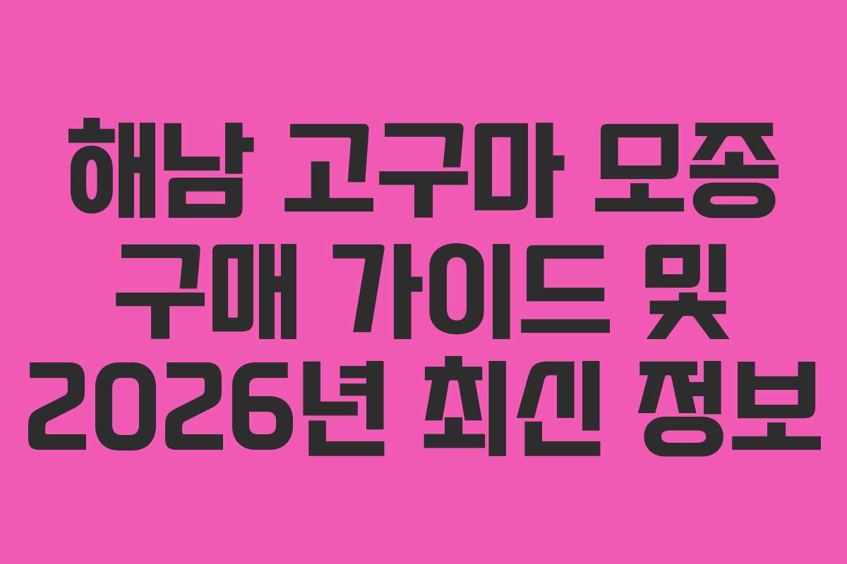 해남 고구마 모종 구매 가이드 및 2026년 최신 정보