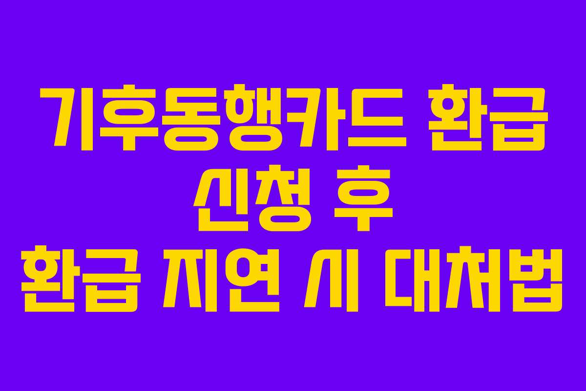 기후동행카드 환급 신청 후 환급 지연 시 대처법