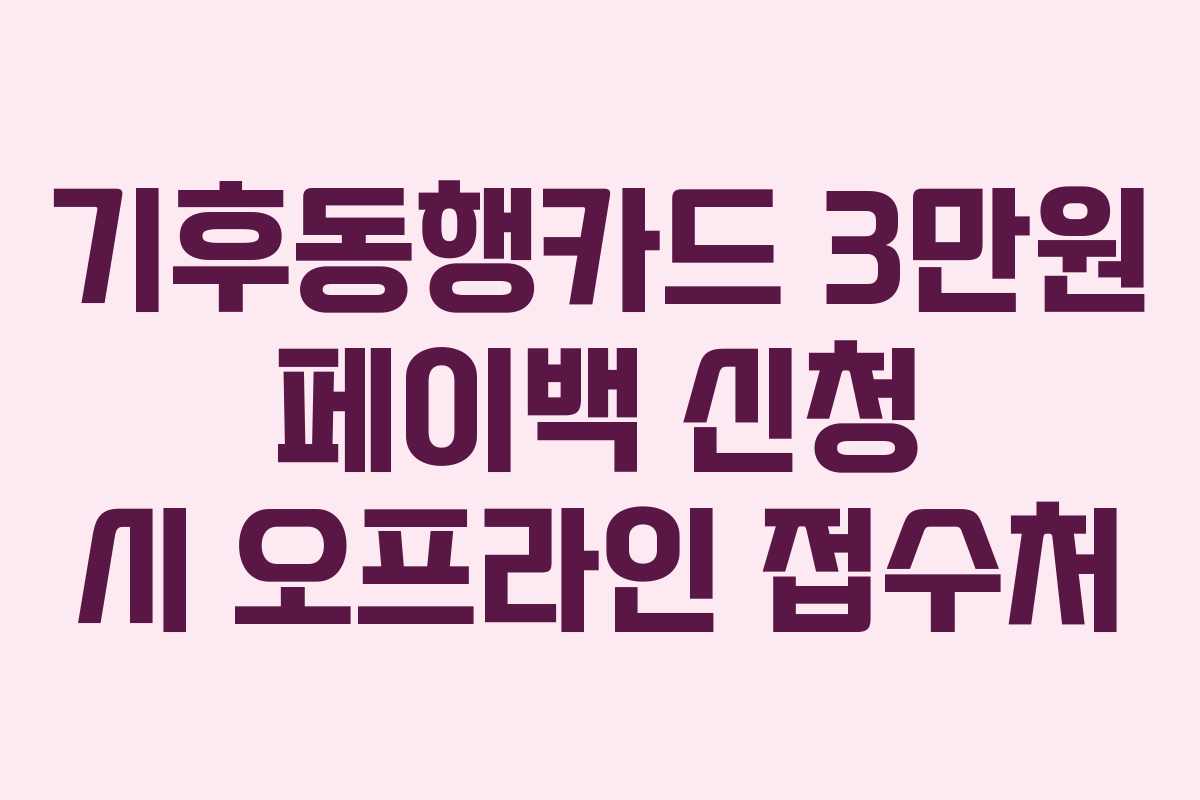 기후동행카드 3만원 페이백 신청 시 오프라인 접수처