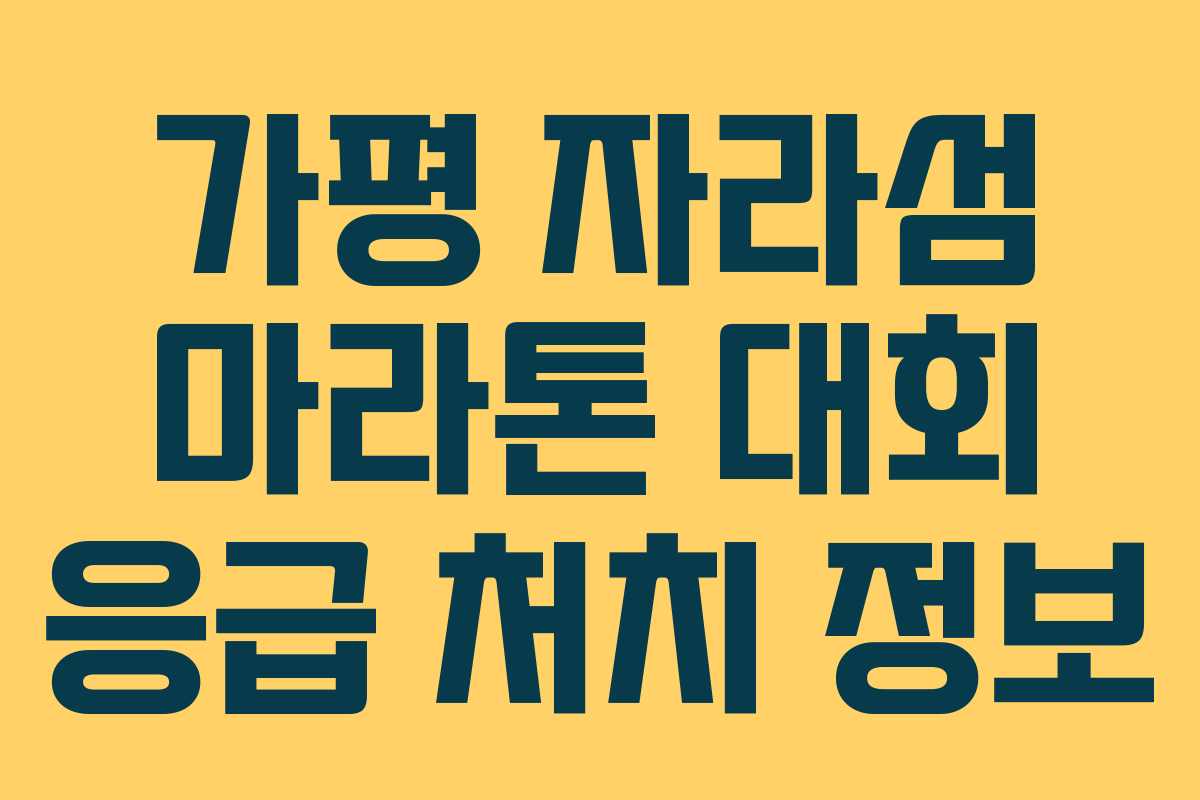 가평 자라섬 마라톤 대회 응급 처치 정보