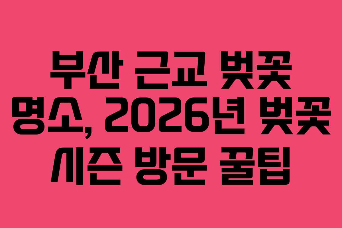 부산 근교 벚꽃 명소, 2026년 벚꽃 시즌 방문 꿀팁