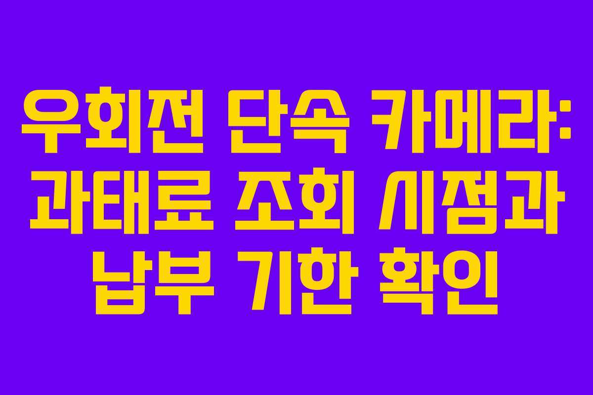 우회전 단속 카메라: 과태료 조회 시점과 납부 기한 확인
