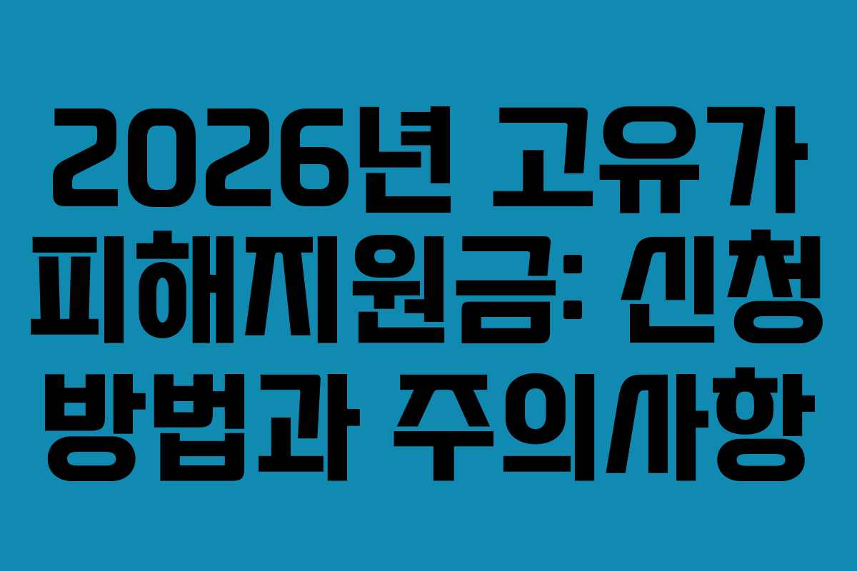 2026년 고유가 피해지원금: 신청 방법과 주의사항