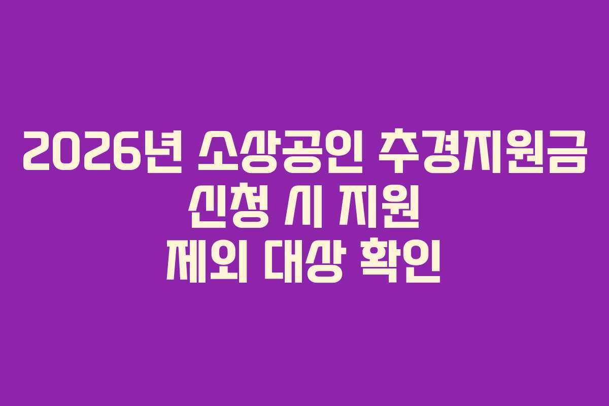 2026년 소상공인 추경지원금 신청 시 지원 제외 대상 확인