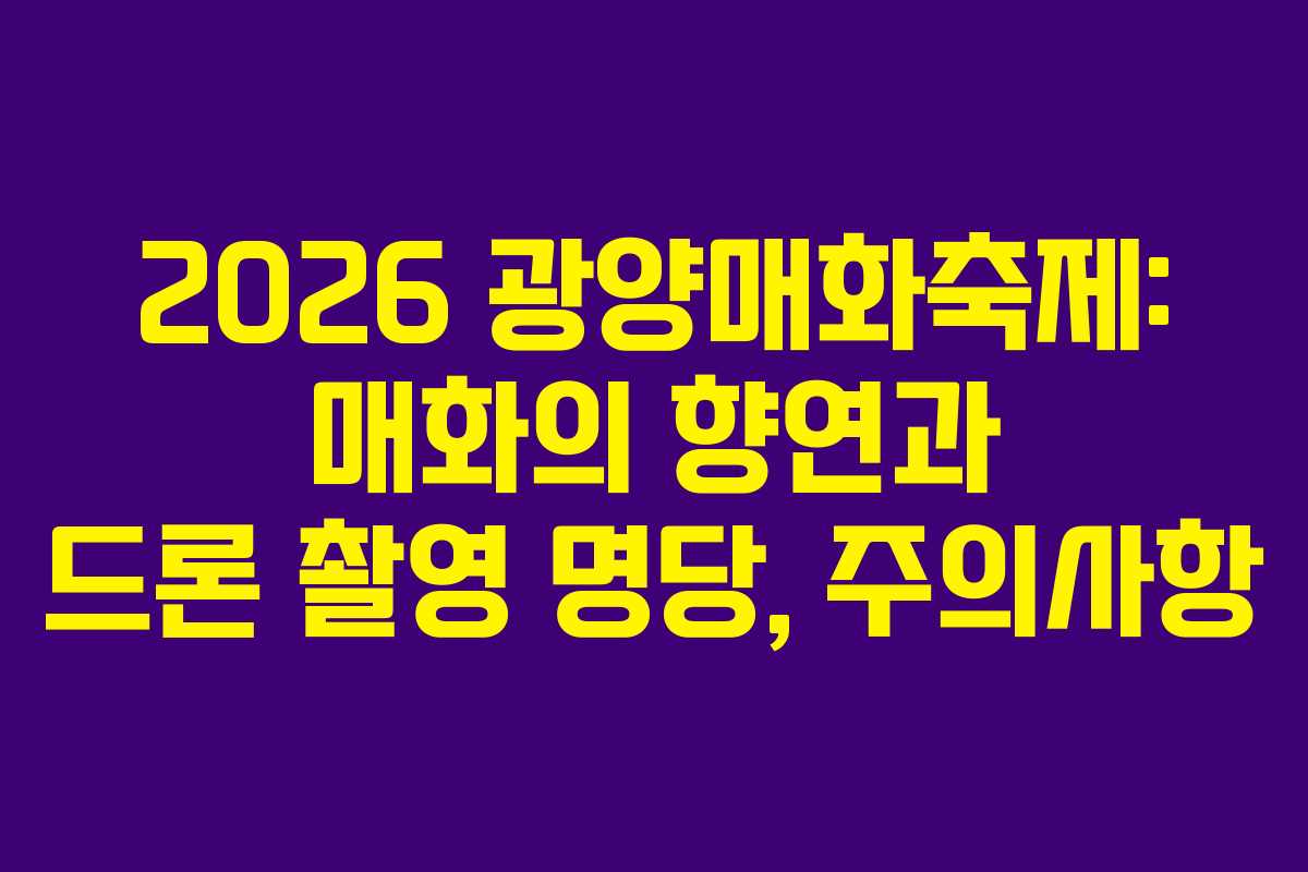2026 광양매화축제: 매화의 향연과 드론 촬영 명당, 주의사항