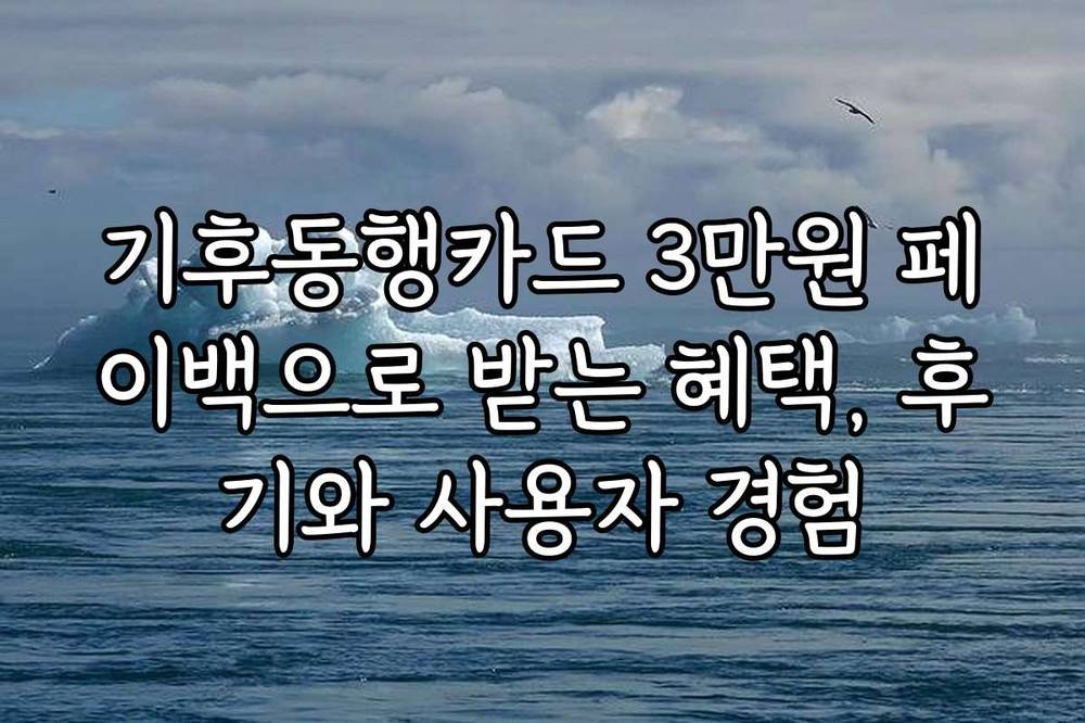 기후동행카드 3만원 페이백으로 받는 혜택, 후기와 사용자 경험