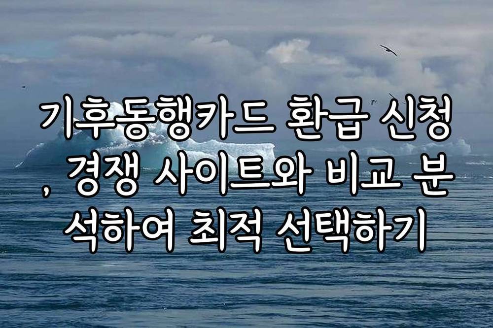 기후동행카드 환급 신청, 경쟁 사이트와 비교 분석하여 최적 선택하기