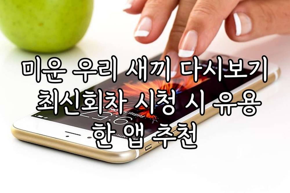 미운 우리 새끼 다시보기 최신회차 시청 시 유용한 앱 추천
