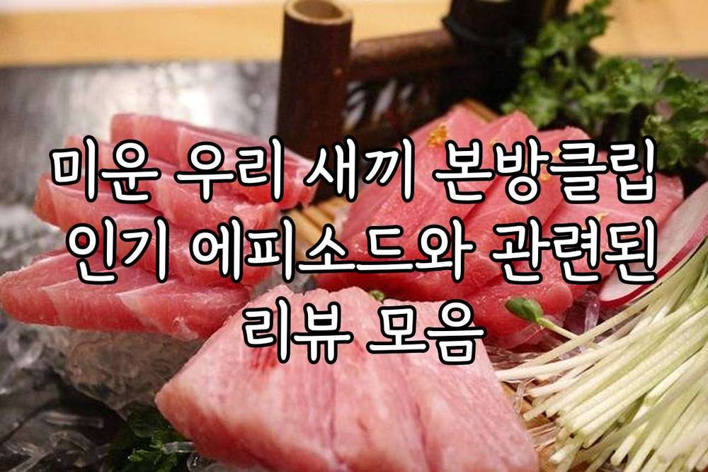 미운 우리 새끼 본방클립 인기 에피소드와 관련된 리뷰 모음