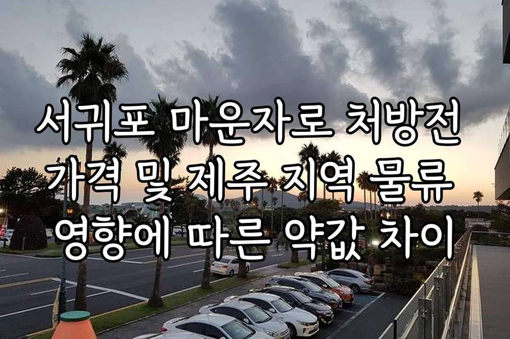 서귀포 마운자로 처방전 가격 및 제주 지역 물류 영향에 따른 약값 차이